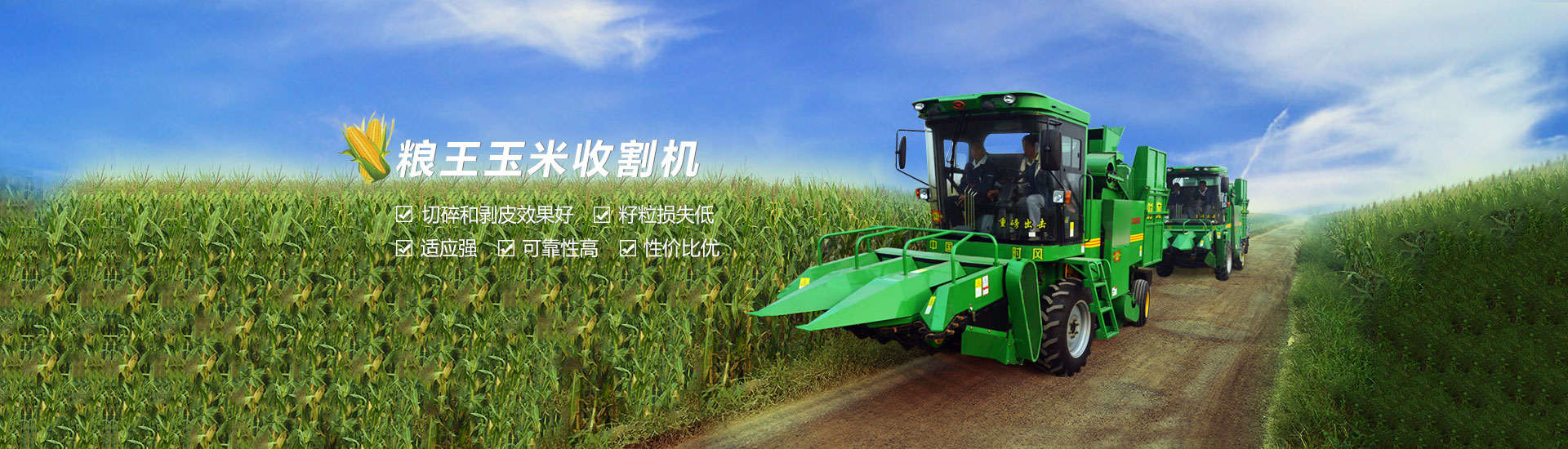 绿茵直播绿茵直播  路路畅通